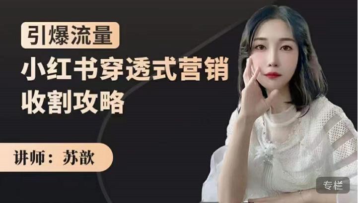 小红书穿透式营销收割攻略，引爆流量，助你玩转小红书网创吧-网创项目资源站-副业项目-创业项目-搞钱项目创业联盟