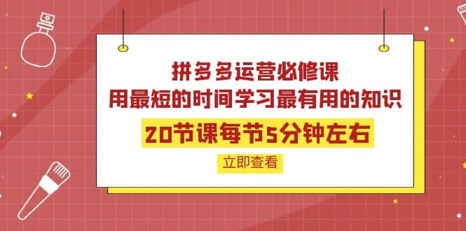 拼多多运营必修课：20节课每节5分钟左右，用最短的时间学习最有用的知识网创吧-网创项目资源站-副业项目-创业项目-搞钱项目创业联盟