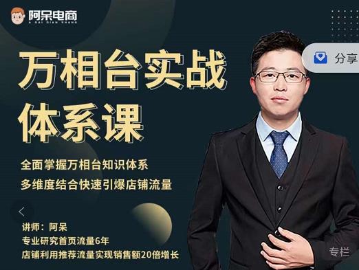 阿呆-万相台实战体系课，帮您全面掌握万相台知识体系网创吧-网创项目资源站-副业项目-创业项目-搞钱项目创业联盟