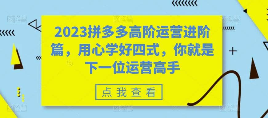 2023拼多多高阶运营进阶篇，用心学好四式，你就是下一位运营高手网创吧-网创项目资源站-副业项目-创业项目-搞钱项目创业联盟