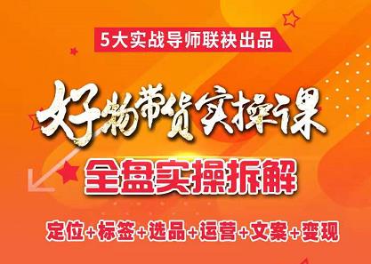 抖音好物带货实操课，全盘拆解抖音好物带货号全套流程打法网创吧-网创项目资源站-副业项目-创业项目-搞钱项目创业联盟