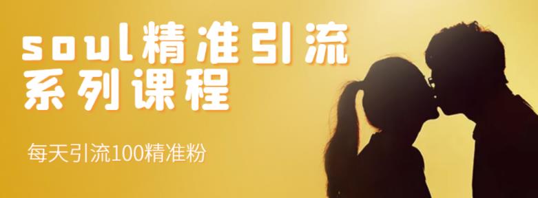 soul精准引流系列课程，每天引流100精准粉网创吧-网创项目资源站-副业项目-创业项目-搞钱项目创业联盟