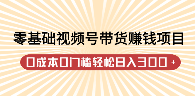 零基础视频号带货赚钱项目，0成本0门槛轻松日入300+【视频教程】网创吧-网创项目资源站-副业项目-创业项目-搞钱项目创业联盟