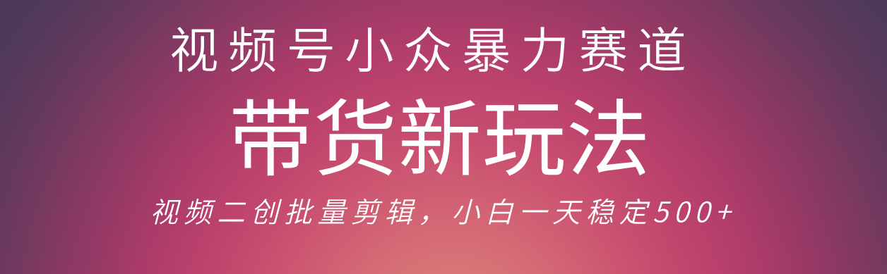 视频号小众暴力赛道，最新带货玩法 小白也能轻松日入500+ 保姆及教程网创吧-网创项目资源站-副业项目-创业项目-搞钱项目创业联盟