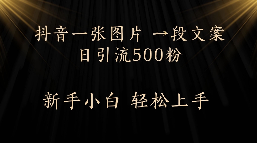 抖音一张图片，一段文案日引流500粉，新手小白 轻松上手网创吧-网创项目资源站-副业项目-创业项目-搞钱项目创业联盟